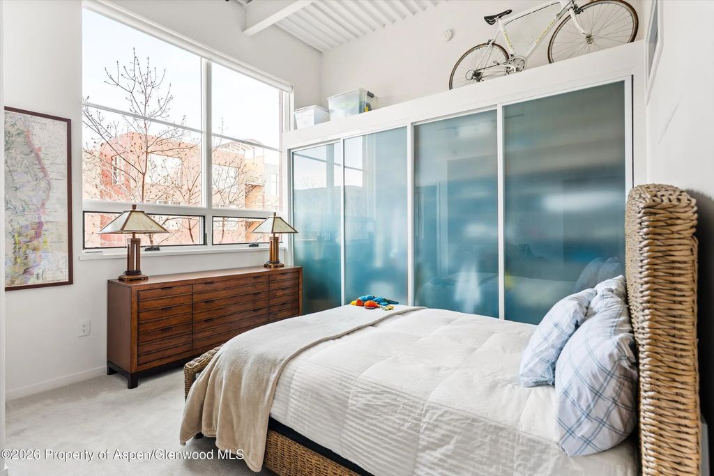 6 of 15 - 361 Robinson Street 208, Basalt, CO