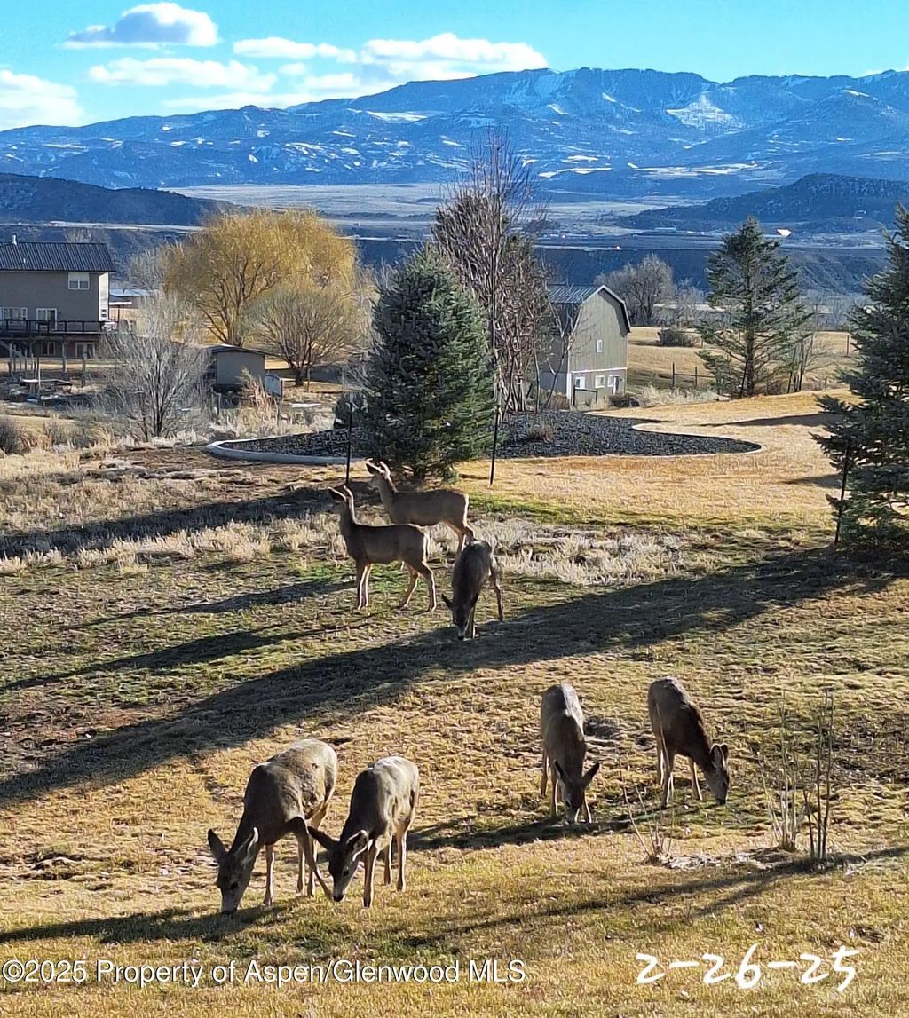 13 of 74 - 265 S Meadow Drive, Rifle, CO