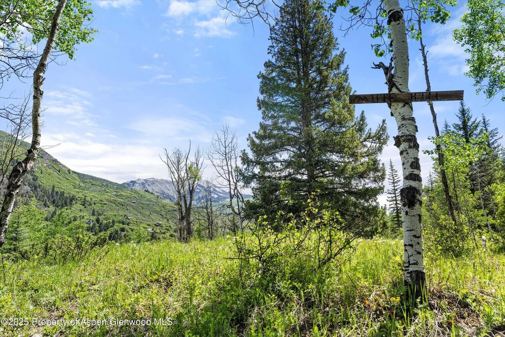 62 of 64 - 117 Deer Lane, Marble, CO