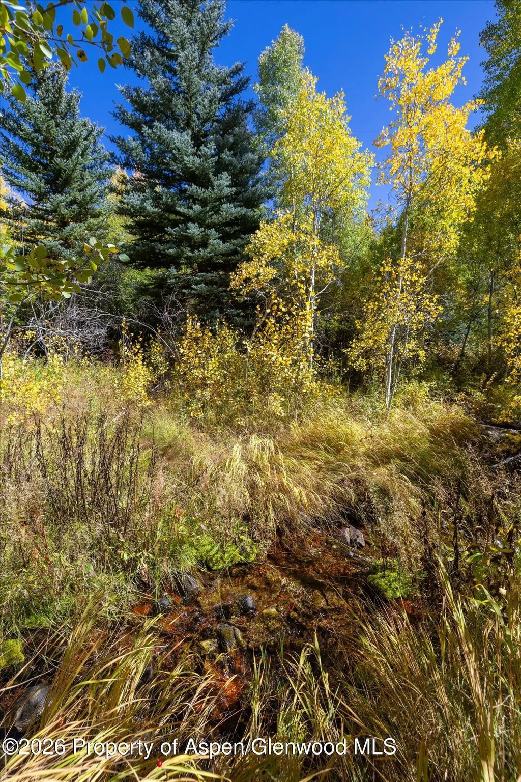 17 of 36 - 0 Frying Pan Road, Basalt, CO