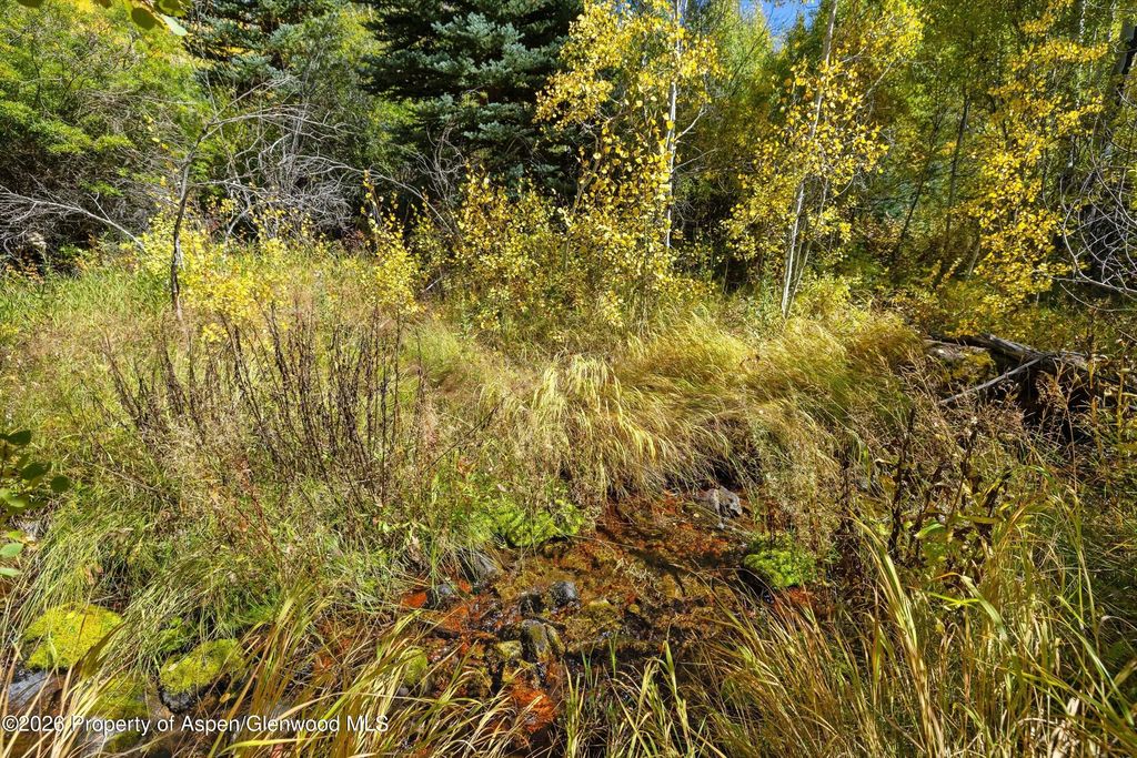 19 of 36 - 0 Frying Pan Road, Basalt, CO