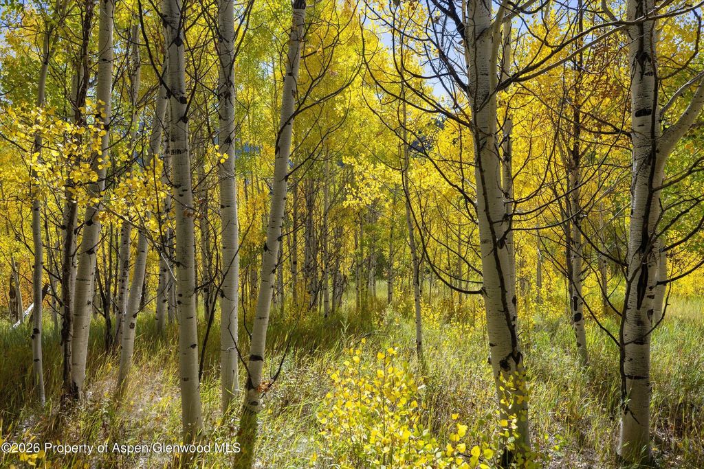 24 of 36 - 0 Frying Pan Road, Basalt, CO
