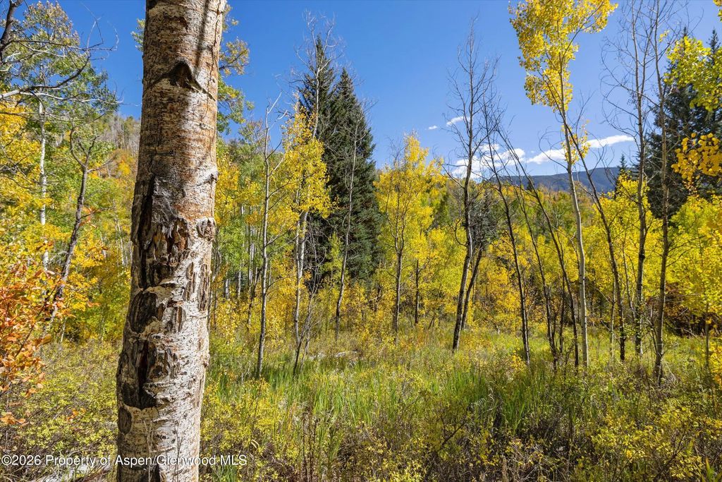 27 of 36 - 0 Frying Pan Road, Basalt, CO