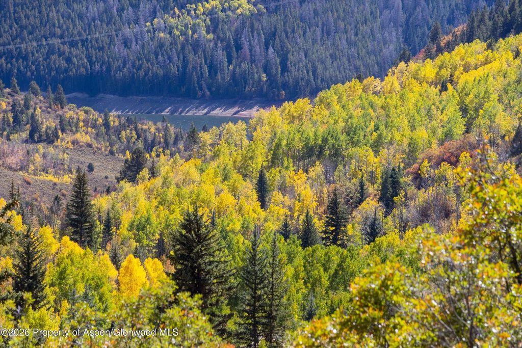 29 of 36 - 0 Frying Pan Road, Basalt, CO