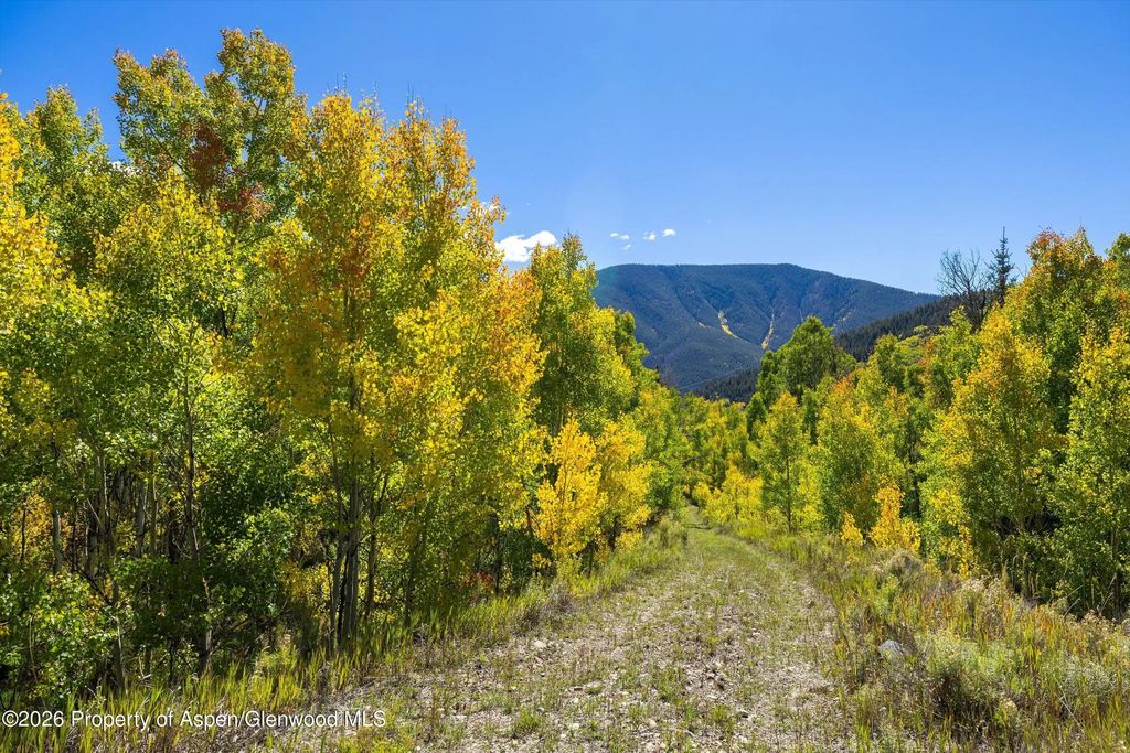 31 of 36 - 0 Frying Pan Road, Basalt, CO