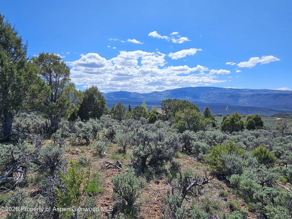 8 of 9 - 369 Woodruff Road, Glenwood Springs, CO