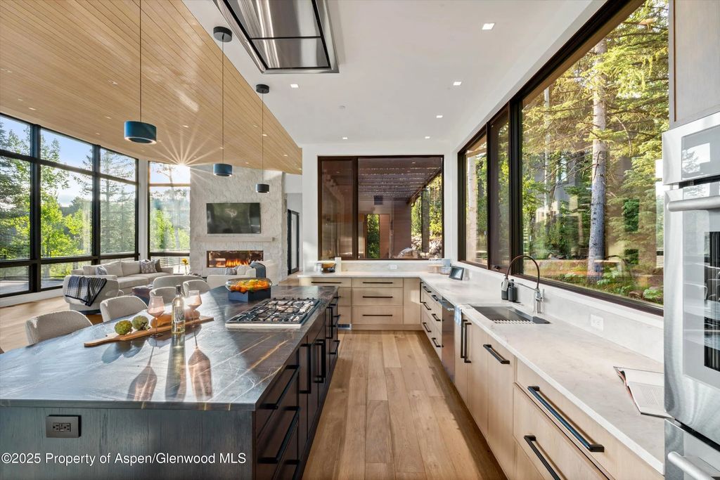 17 of 66 - 1234 Wood Road, Snowmass Village, CO
