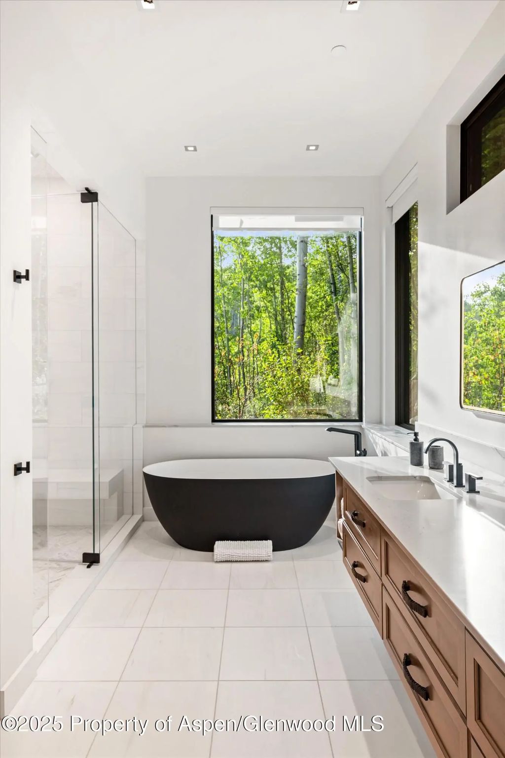 44 of 66 - 1234 Wood Road, Snowmass Village, CO