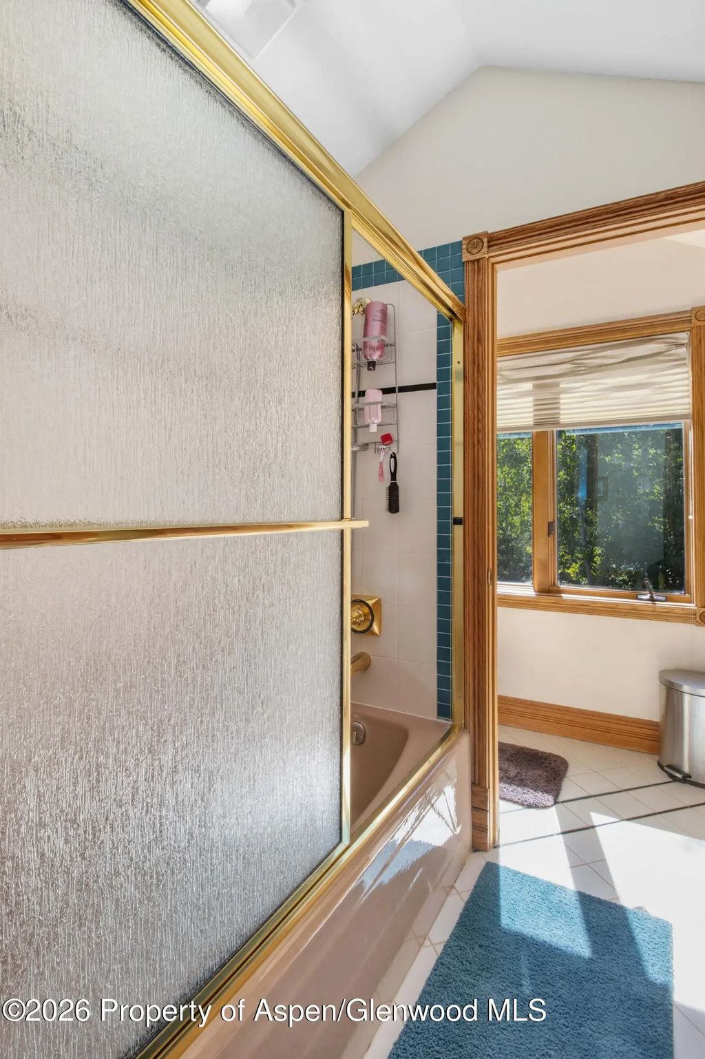 31 of 40 - 9 Creekside Court, Glenwood Springs, CO