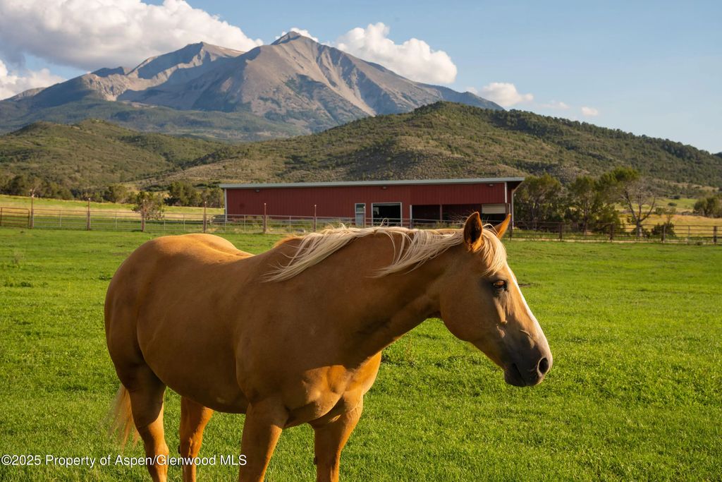 73 of 80 - 1644 Prince Creek Road, Carbondale, CO