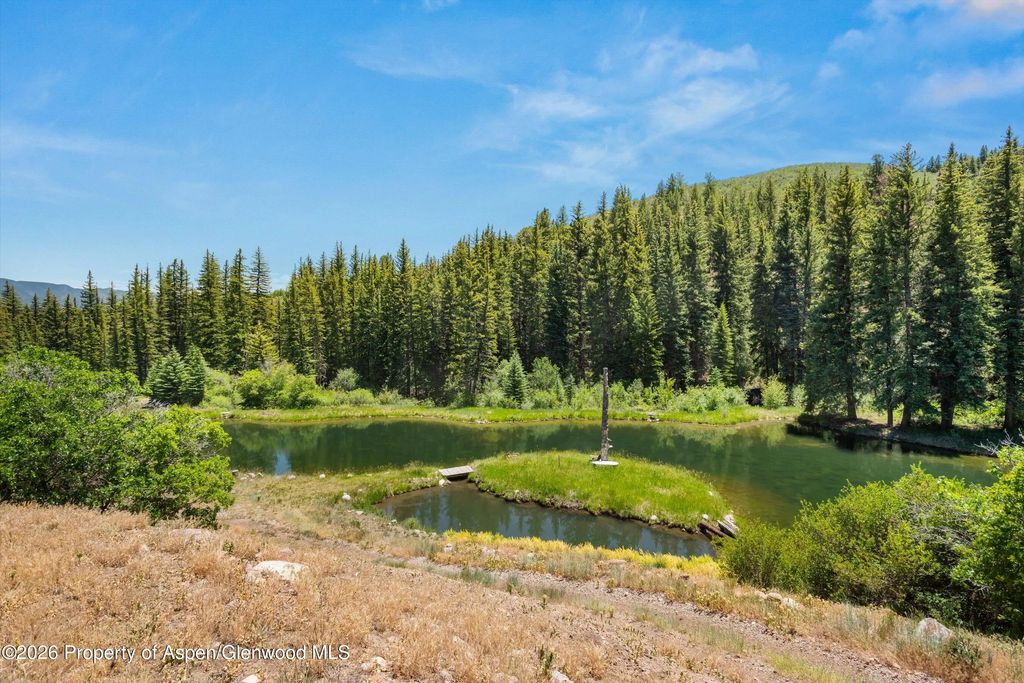 30 of 38 - 1645 Capitol Creek Road, Snowmass, CO