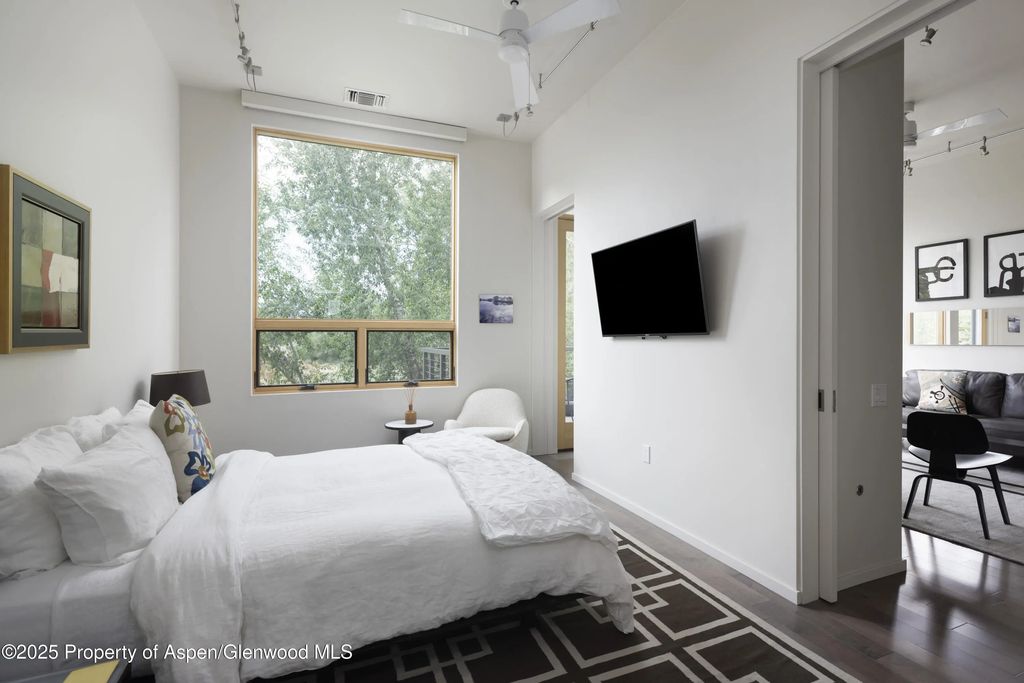 6 of 10 - 104 Evans Road 207, Basalt, CO