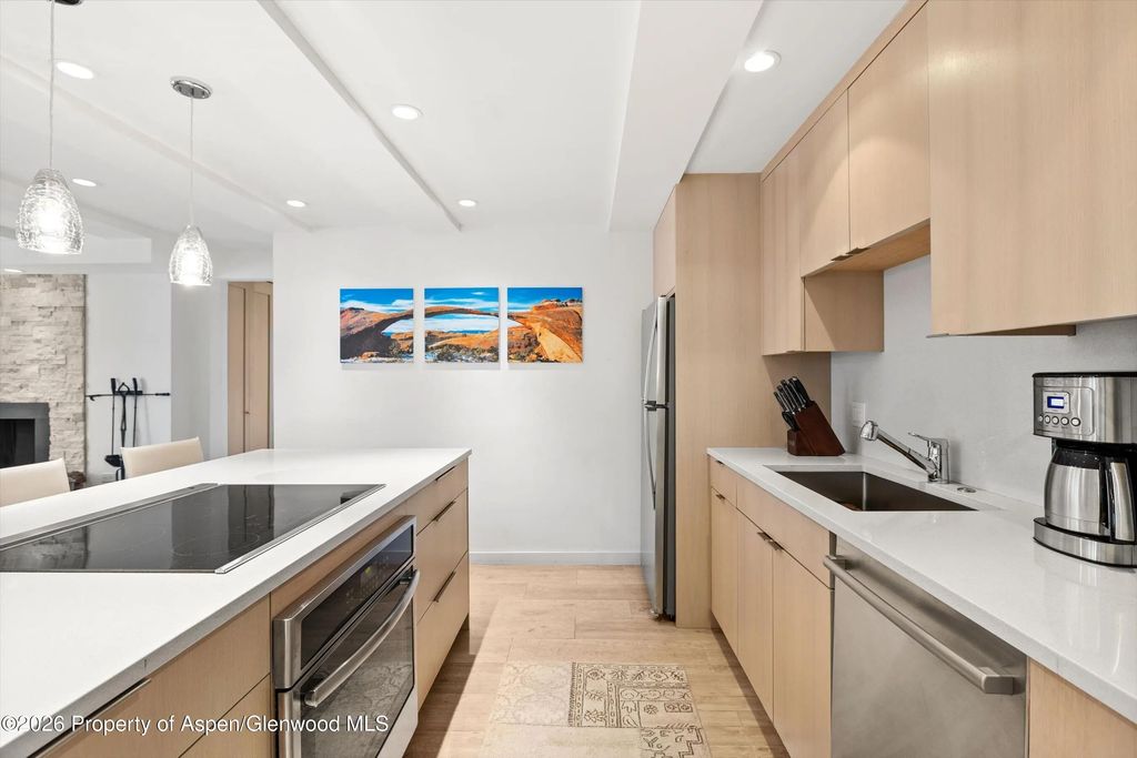 9 of 16 - 731 E Durant Avenue 10, Aspen, CO