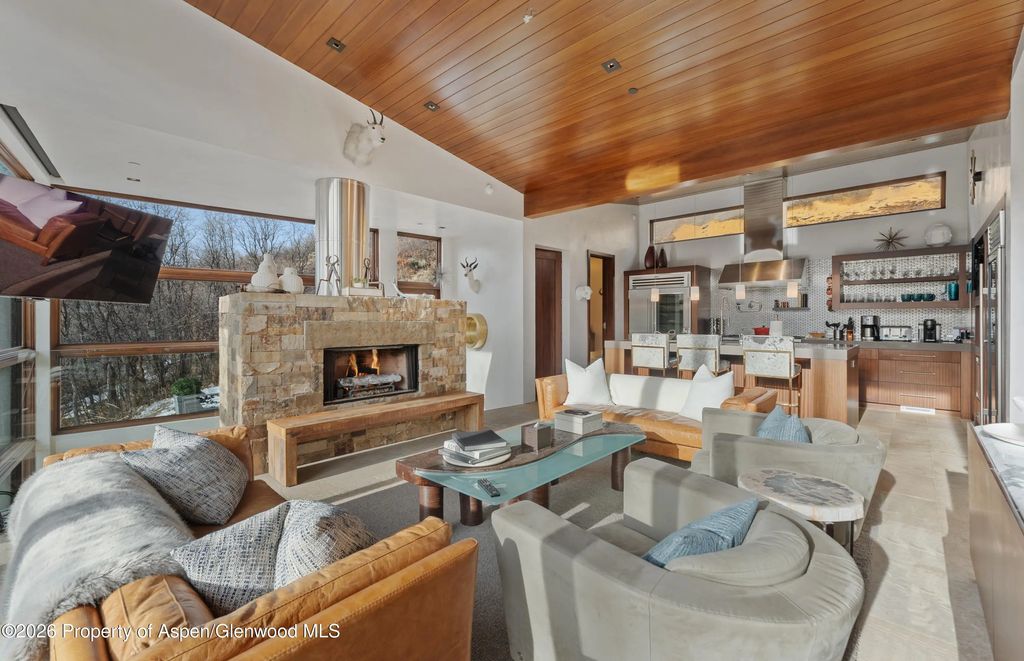 4 of 41 - 1564 Silver King Drive A, Aspen, CO