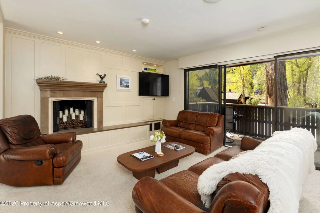 400 W Hopkins Avenue 5, Aspen
