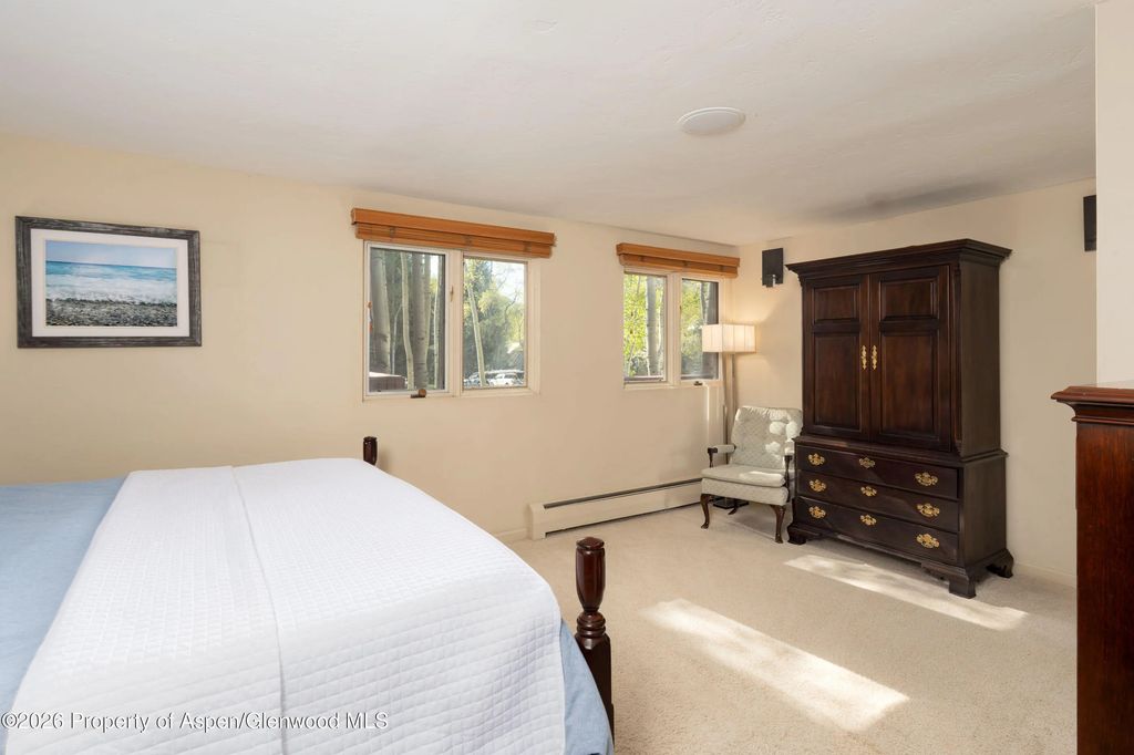 12 of 43 - 400 W Hopkins Avenue 5, Aspen, CO