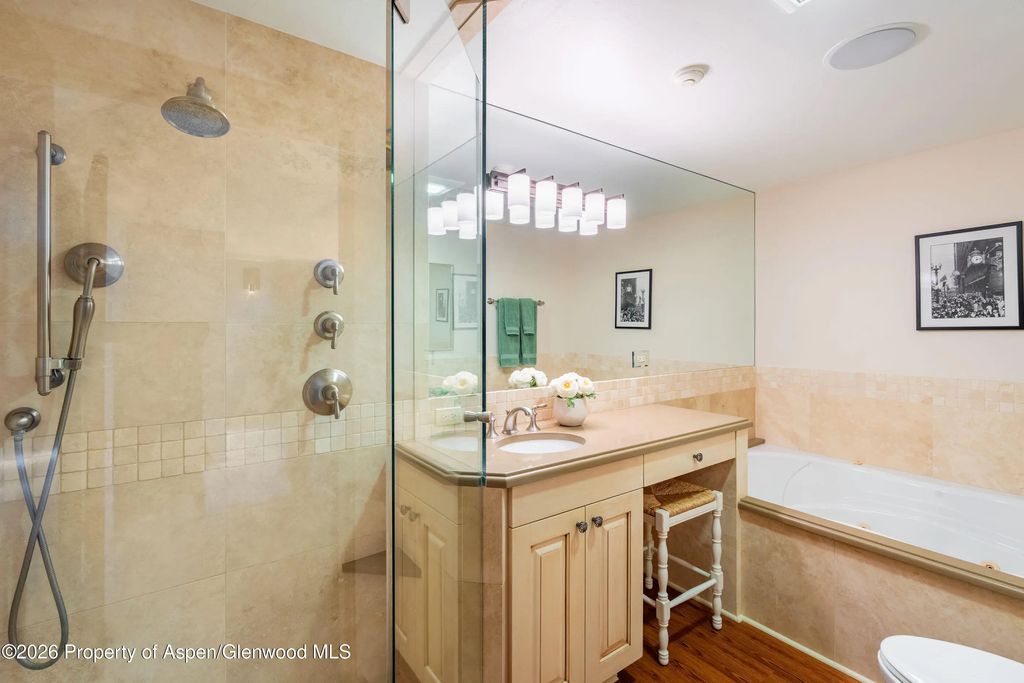 13 of 43 - 400 W Hopkins Avenue 5, Aspen, CO