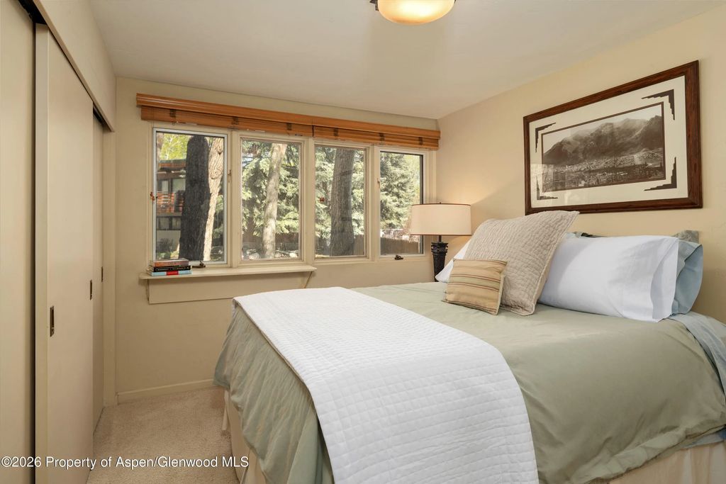 14 of 43 - 400 W Hopkins Avenue 5, Aspen, CO