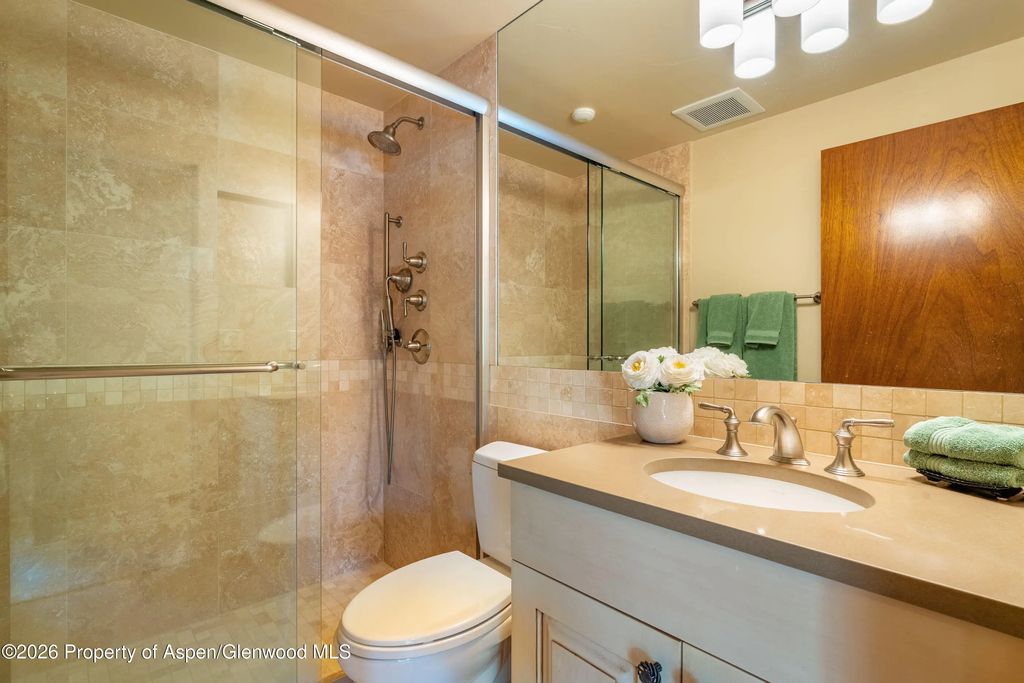 15 of 43 - 400 W Hopkins Avenue 5, Aspen, CO
