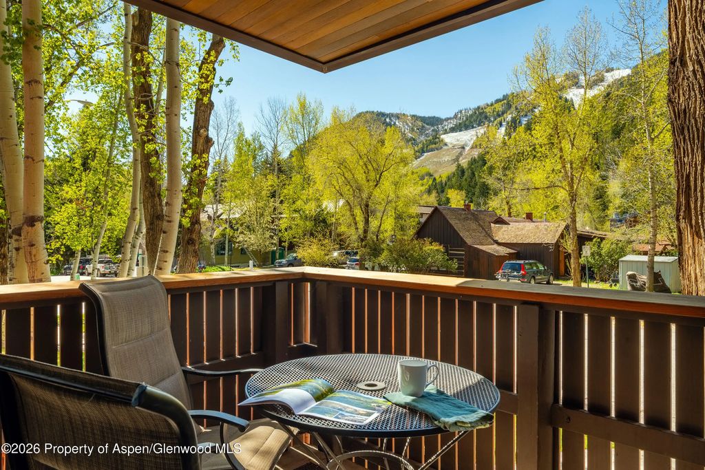 29 of 43 - 400 W Hopkins Avenue 5, Aspen, CO