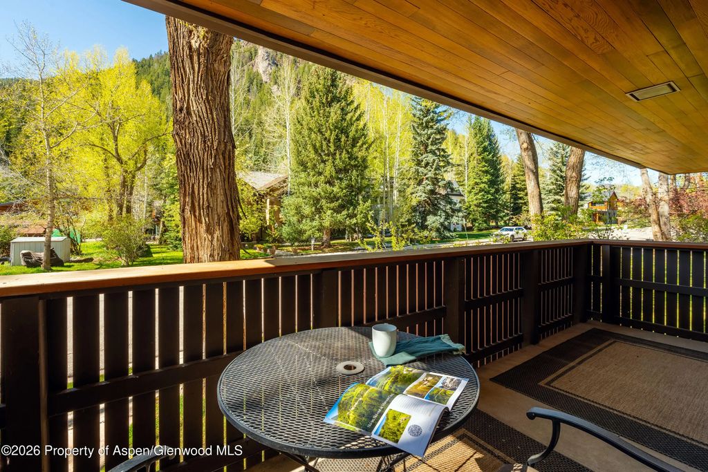 30 of 43 - 400 W Hopkins Avenue 5, Aspen, CO