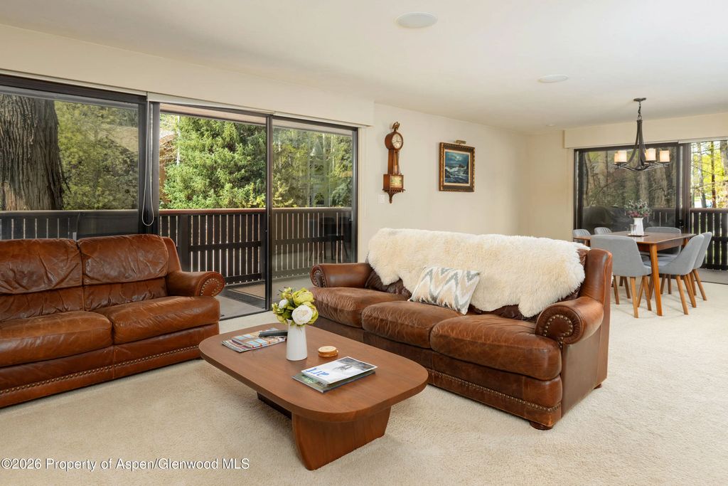 4 of 43 - 400 W Hopkins Avenue 5, Aspen, CO