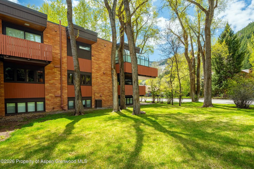 40 of 43 - 400 W Hopkins Avenue 5, Aspen, CO
