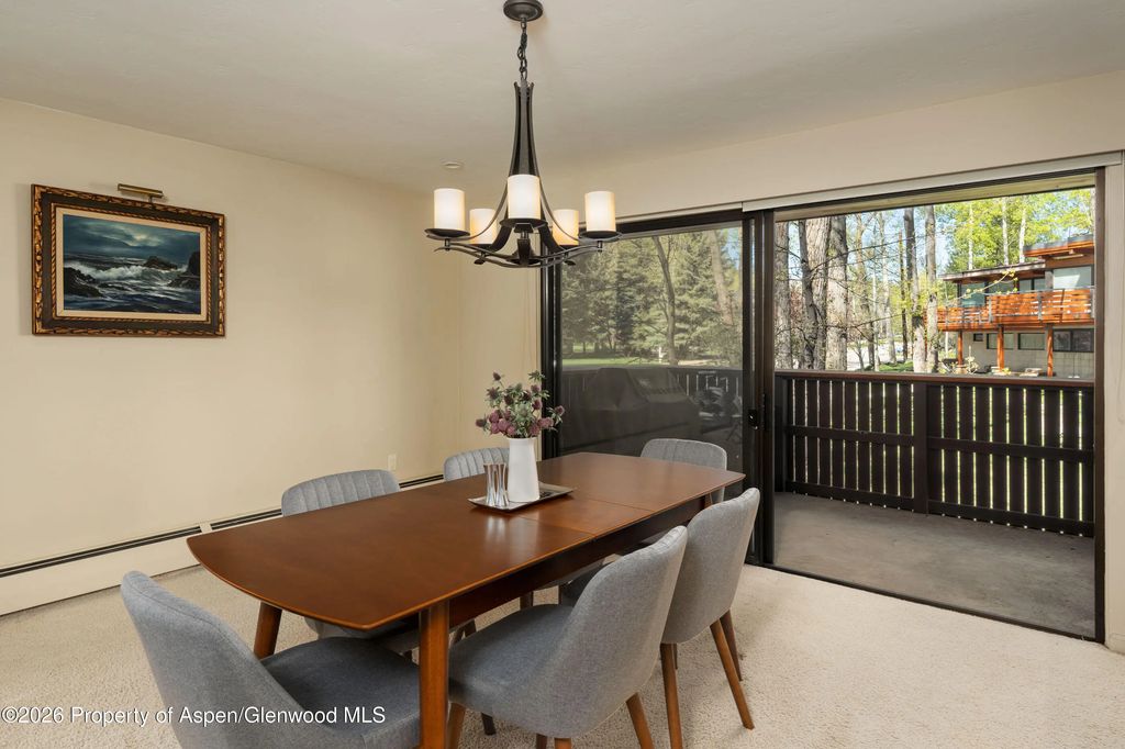 5 of 43 - 400 W Hopkins Avenue 5, Aspen, CO