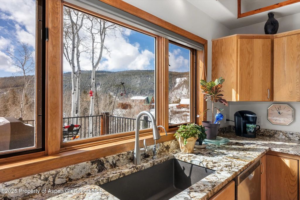 14 of 47 - 238 Hawk Lane, Basalt, CO