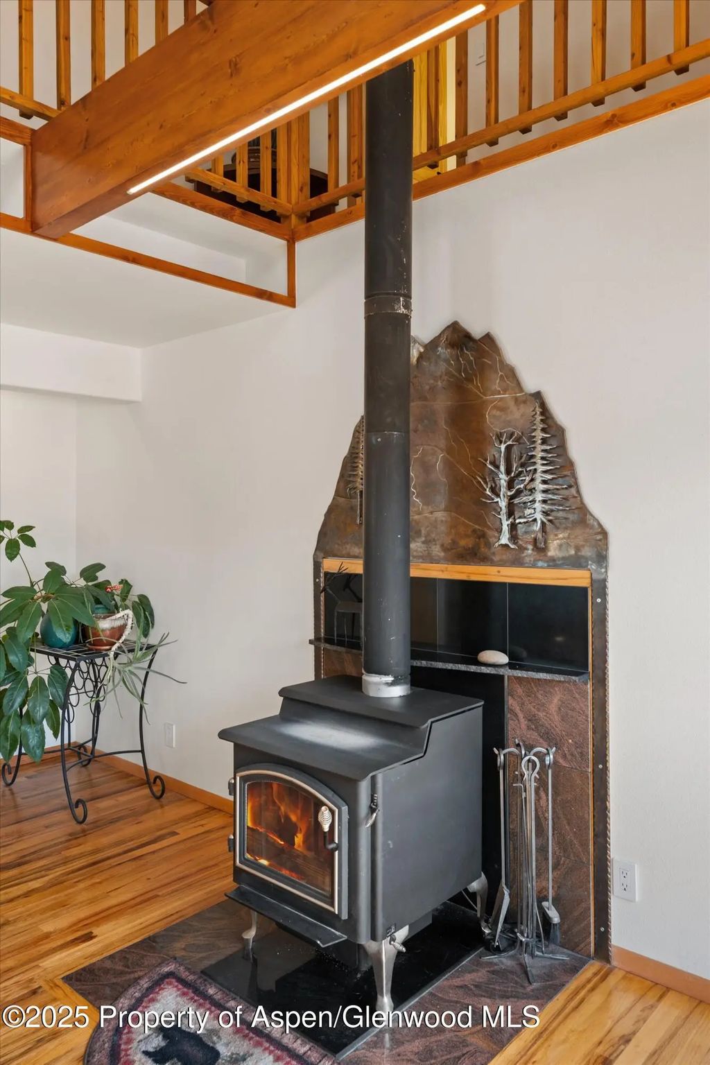 21 of 47 - 238 Hawk Lane, Basalt, CO