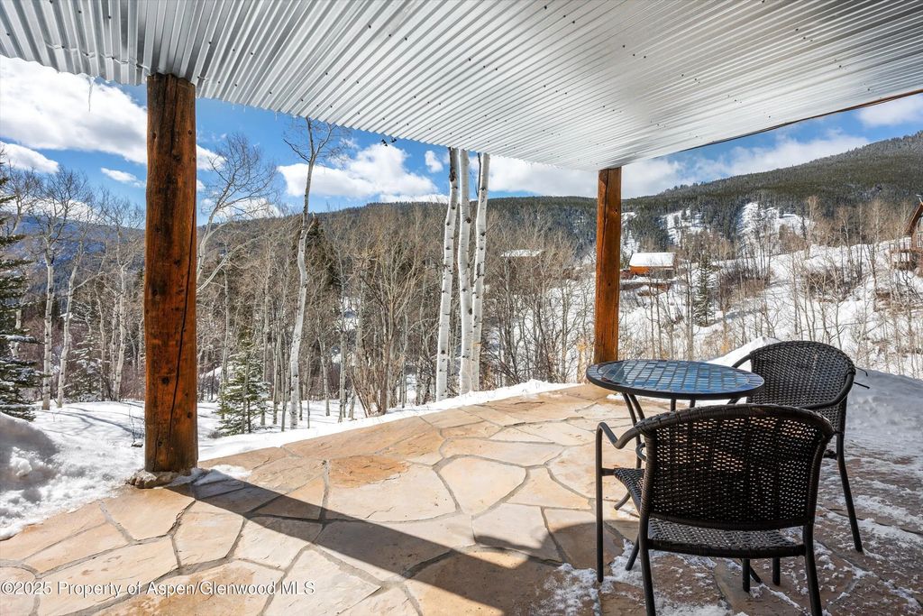 45 of 47 - 238 Hawk Lane, Basalt, CO