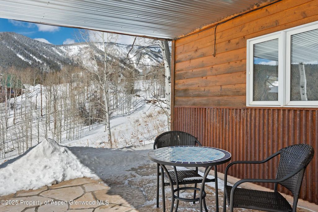46 of 47 - 238 Hawk Lane, Basalt, CO
