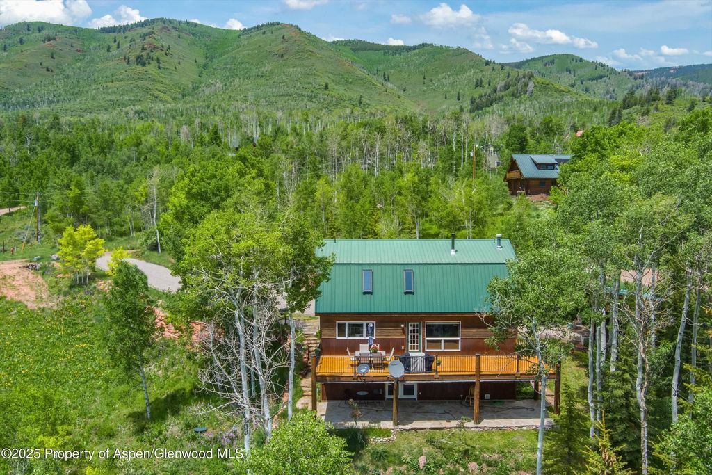6 of 47 - 238 Hawk Lane, Basalt, CO