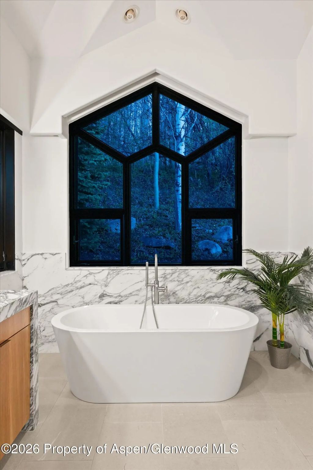 26 of 49 - 291 Faraway Road, Snowmass Village, CO