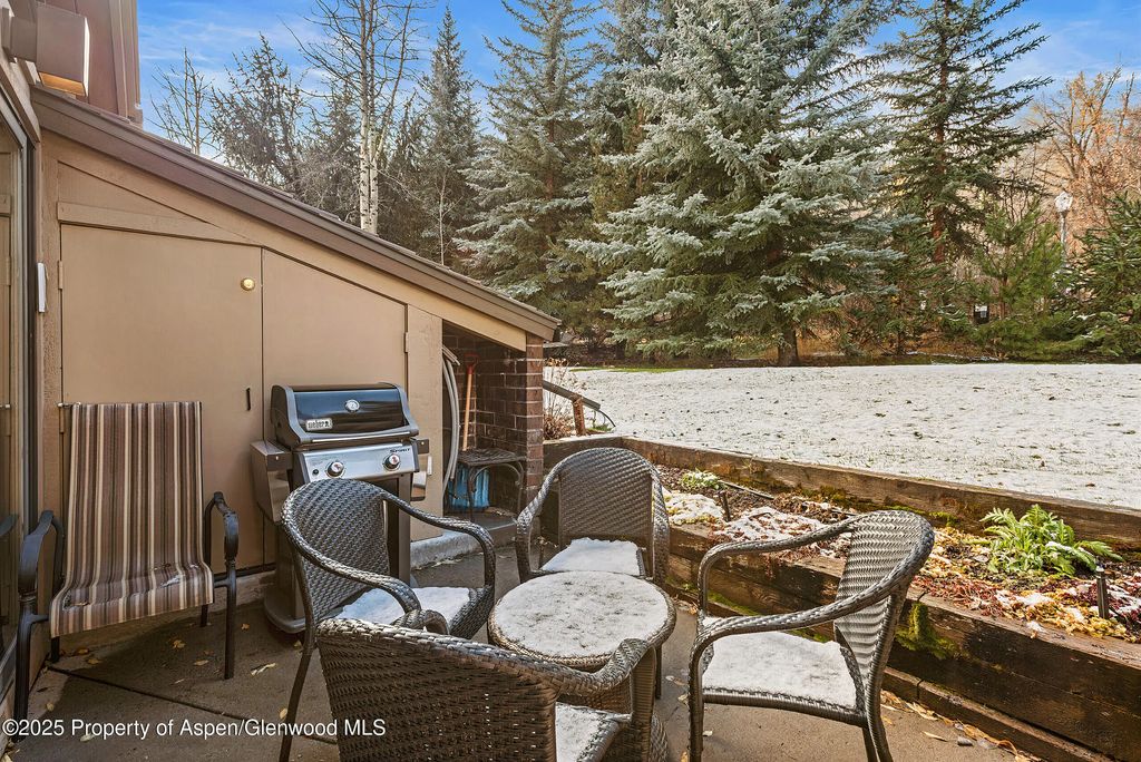 4 of 19 - 625 S West End Street Unit 12, Aspen, CO