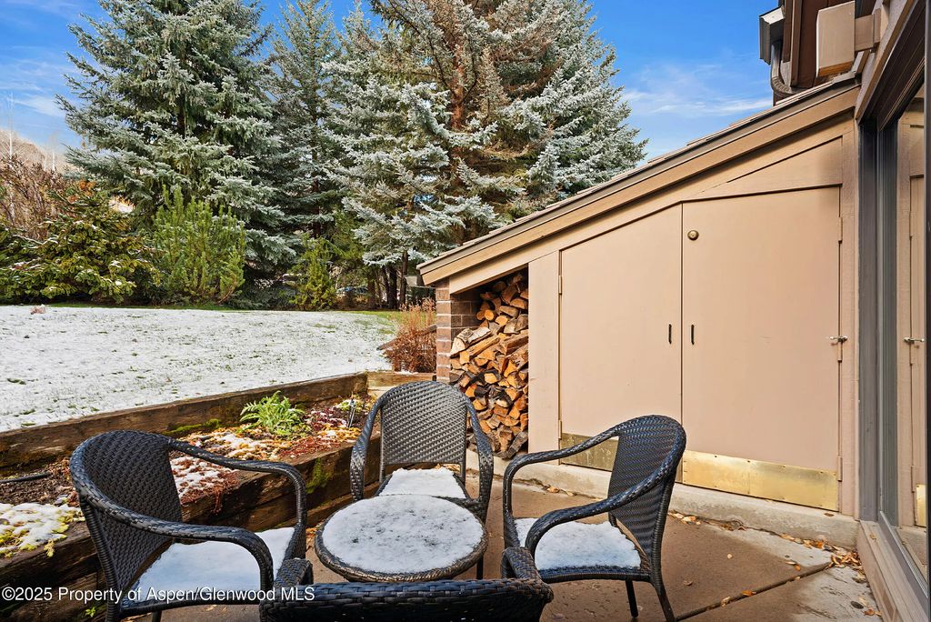 5 of 19 - 625 S West End Street Unit 12, Aspen, CO