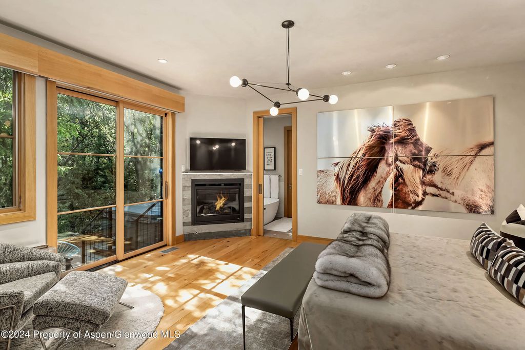 12 of 31 - 1190 Riverside Drive, Aspen, CO
