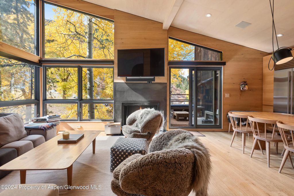 800 S Monarch Street Unit 9, Aspen