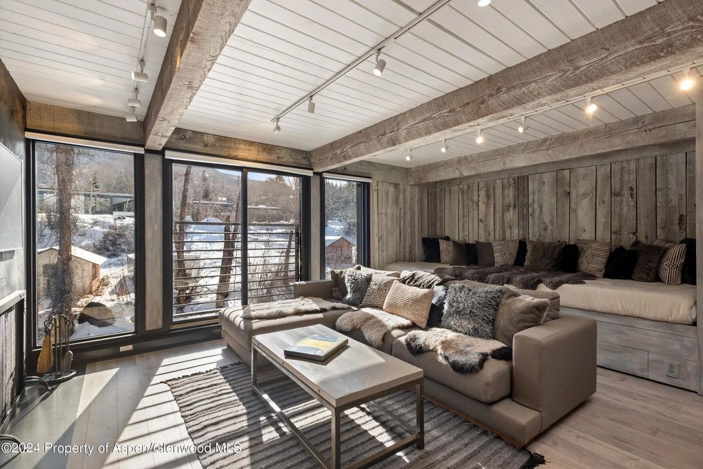1039 E Cooper Avenue 19b, Aspen