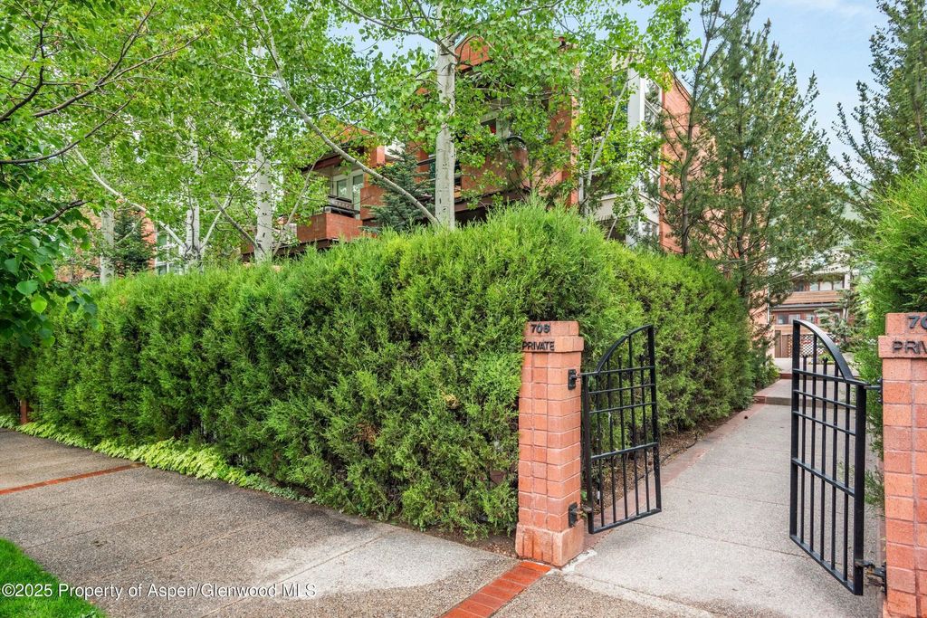 706 E Hyman Avenue, Aspen