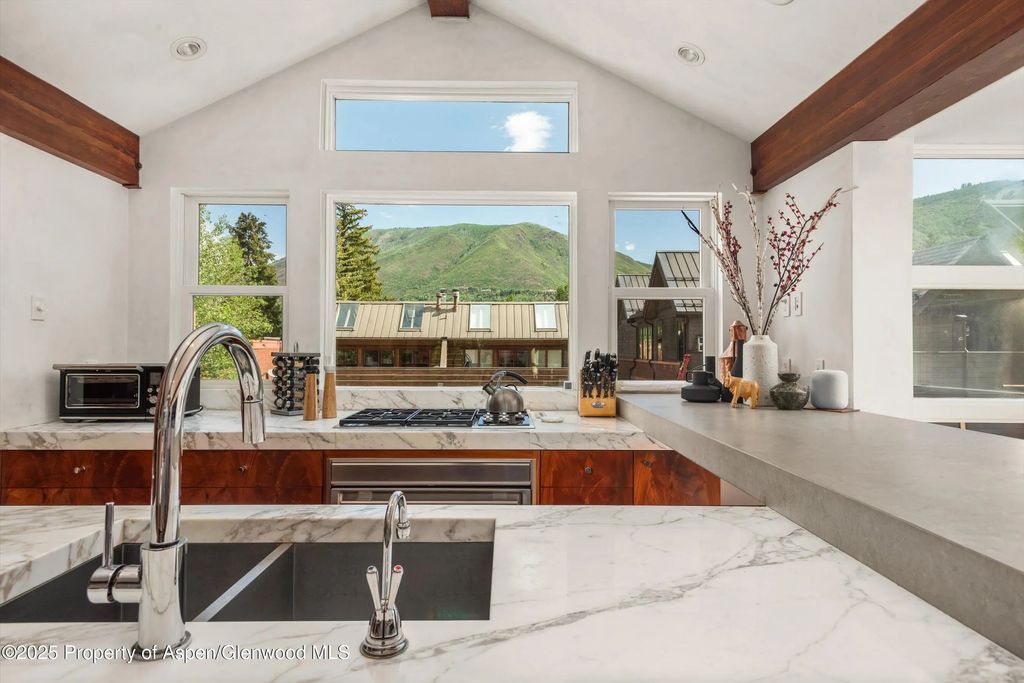 17 of 46 - 706 E Hyman Avenue, Aspen, CO