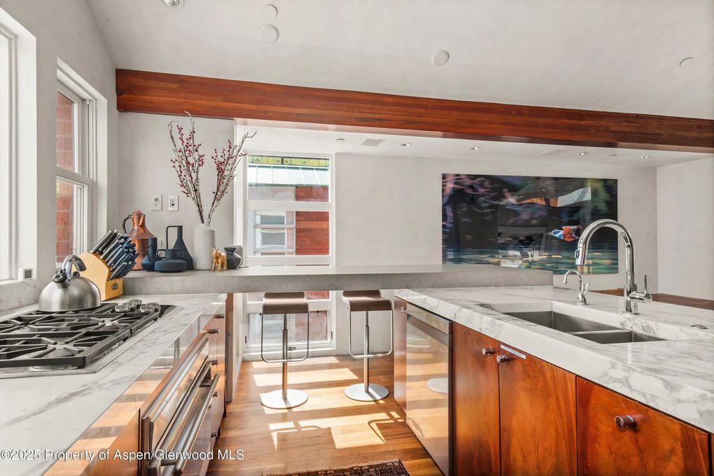 18 of 46 - 706 E Hyman Avenue, Aspen, CO