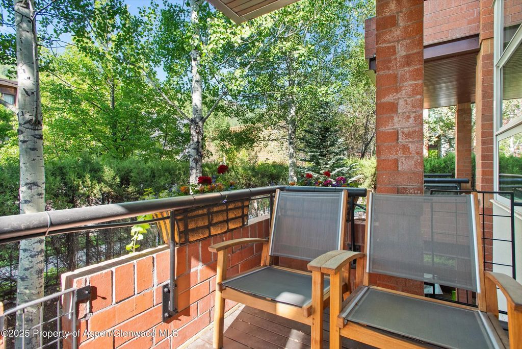 26 of 46 - 706 E Hyman Avenue, Aspen, CO