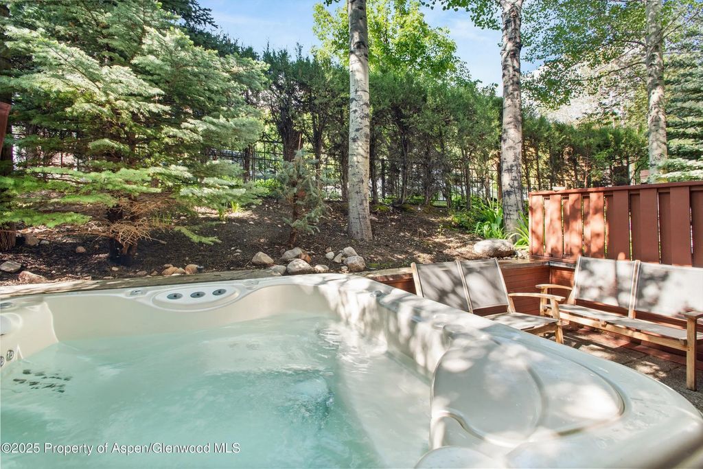 36 of 46 - 706 E Hyman Avenue, Aspen, CO