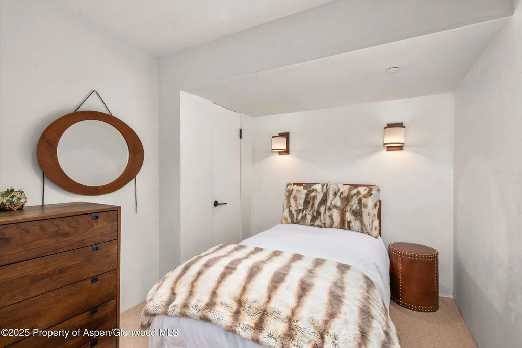 37 of 46 - 706 E Hyman Avenue, Aspen, CO
