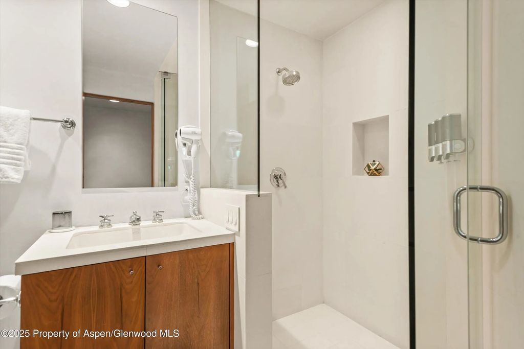 39 of 46 - 706 E Hyman Avenue, Aspen, CO