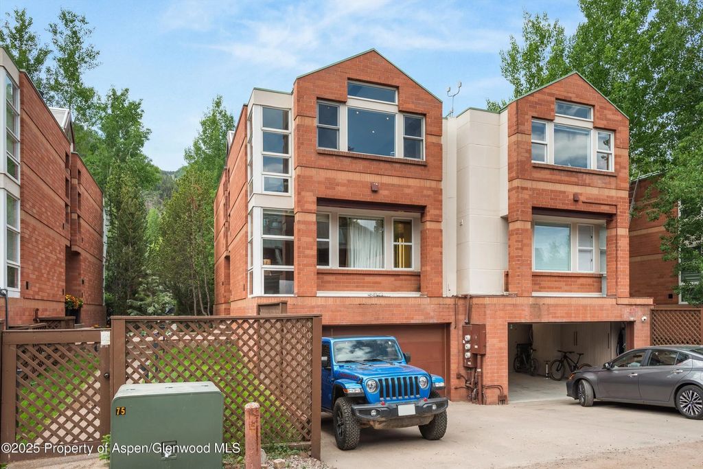 45 of 46 - 706 E Hyman Avenue, Aspen, CO