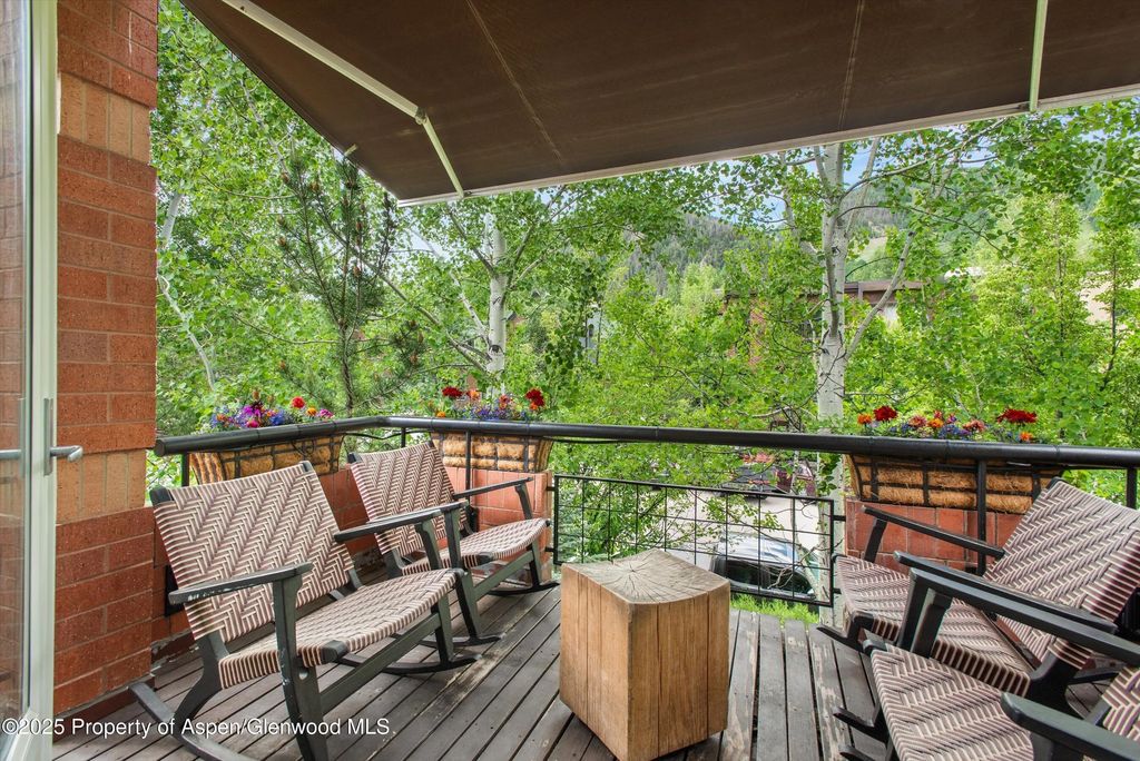 6 of 46 - 706 E Hyman Avenue, Aspen, CO