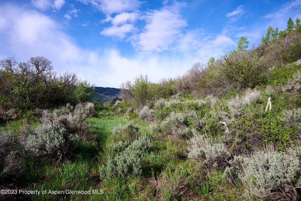 10 of 24 - 51 Shield O Road, Snowmass, CO