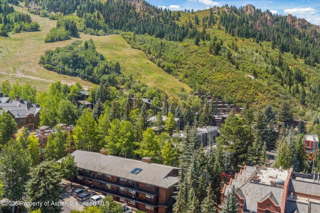 15 of 25 - 731 S Mill Street Unit 2d, Aspen, CO